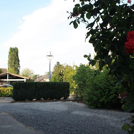 Ferienwohnung Anna - Charmante Ferienwohnung In Bevorzugter Lage 康斯坦茨 外观 照片