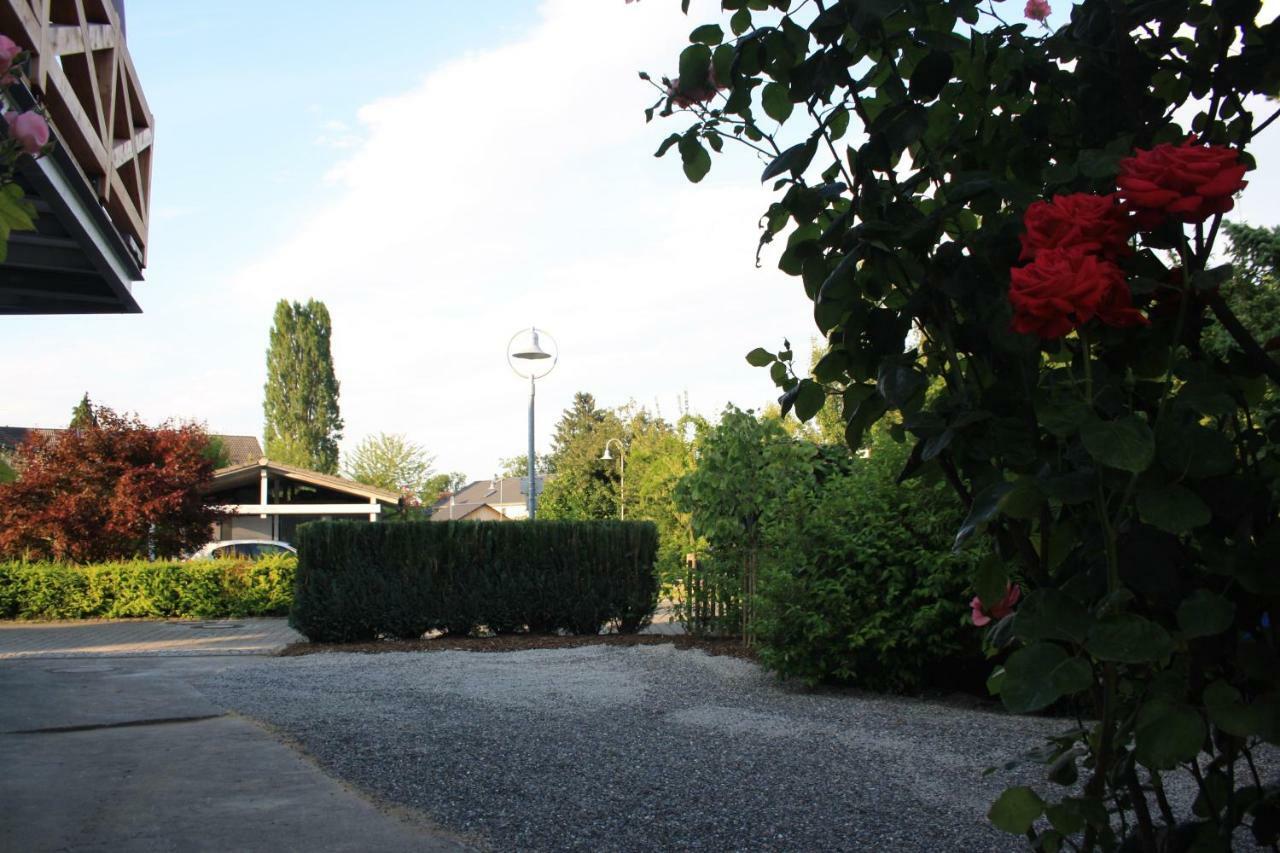 Ferienwohnung Anna - Charmante Ferienwohnung In Bevorzugter Lage 康斯坦茨 外观 照片